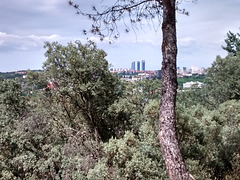 Madrid and the 4 Towers from the Casa de Campo