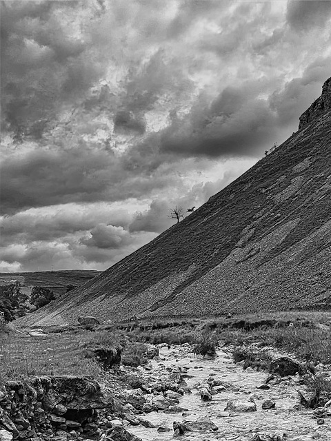 105582649-bw