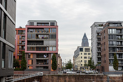 _DSC2816