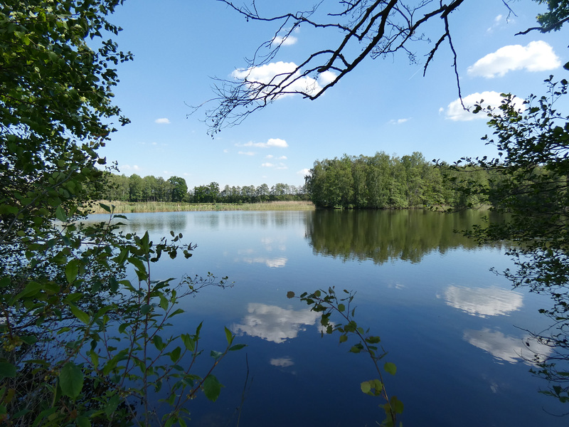 Charlottenhofer Weihergebiet