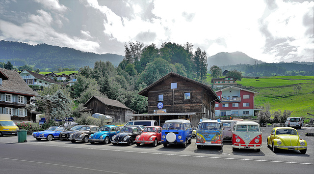 Lauerzersee VW