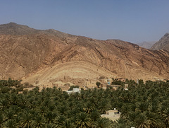 Oasis of Birkat Al-Mawz.