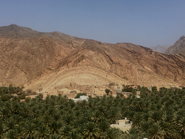 Oasis of Birkat Al-Mawz.