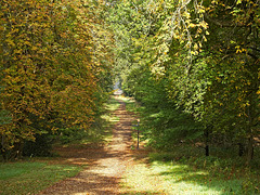 Staunton Country Park (+PiP)