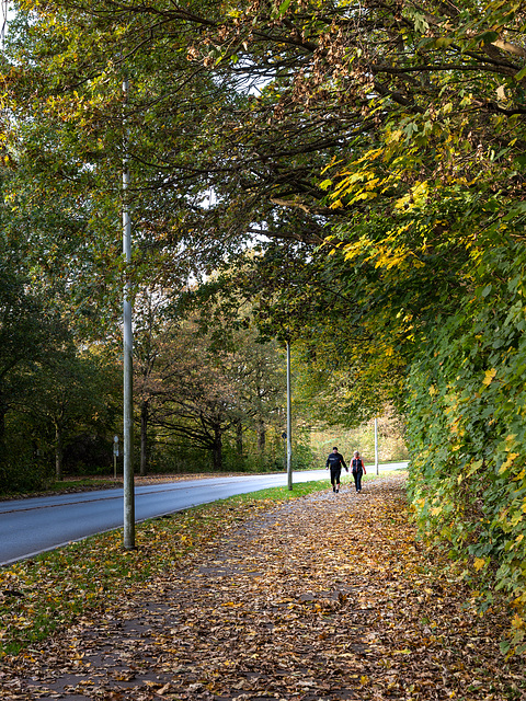 Walking