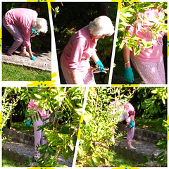 Mid-morning, the gardener in pajamas Mid-morning, the gardener in pajamas