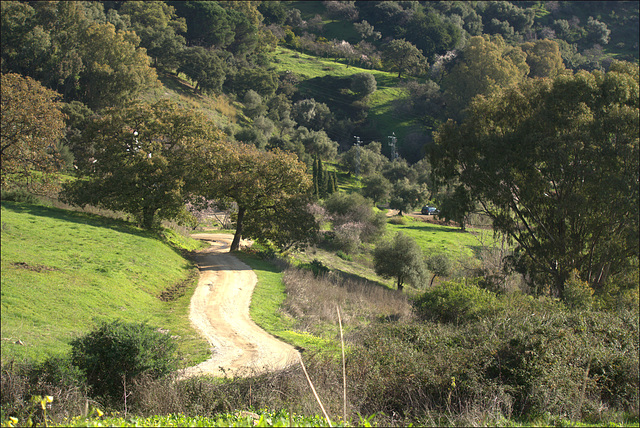 Gaucín