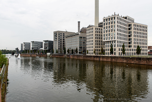 _DSC2817