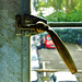 Window Fastening 2