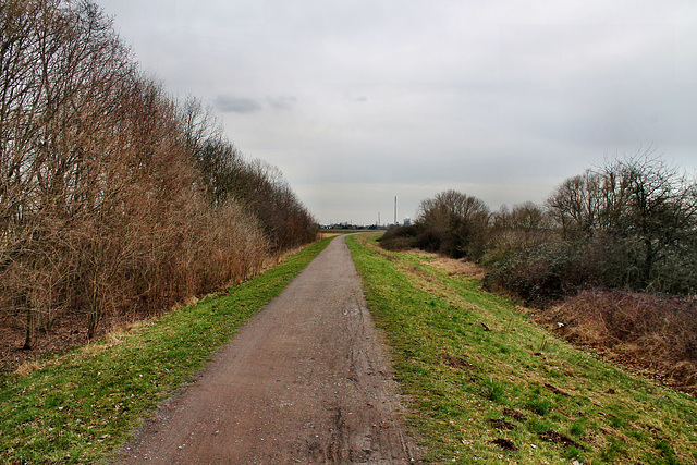 Weg auf dem Rheindeich (Voerde-Möllen) / 4.03.2017