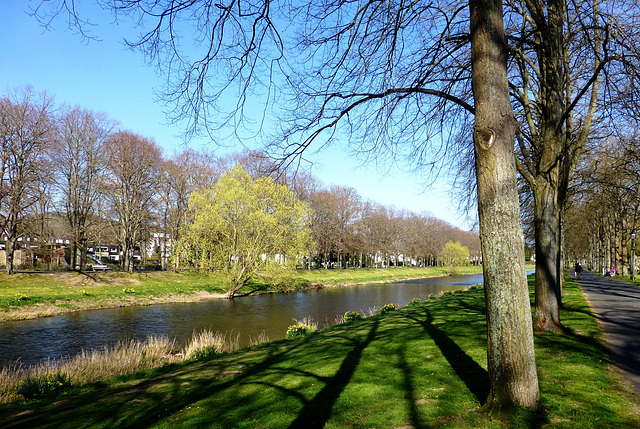 Frühling an der Ahr