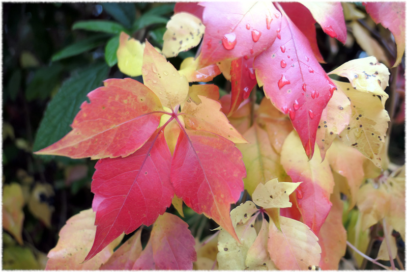 Herbstfarben