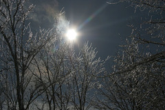 la glace et le feu/fire and ice