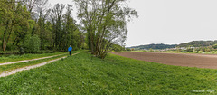 Wandern bei Wunderklingen  Kanton Schaffhausen Schweiz