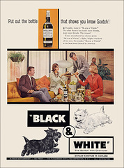 Black & White Scotch Ad, c1961