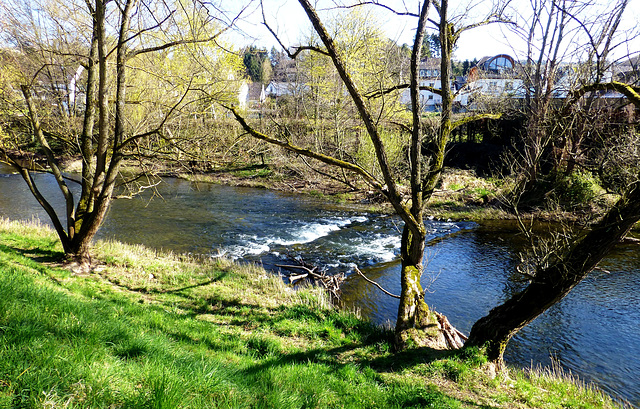 Frühling an der Ahr