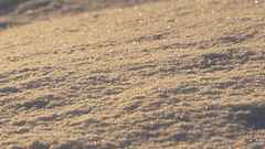 Diamonds in the snow