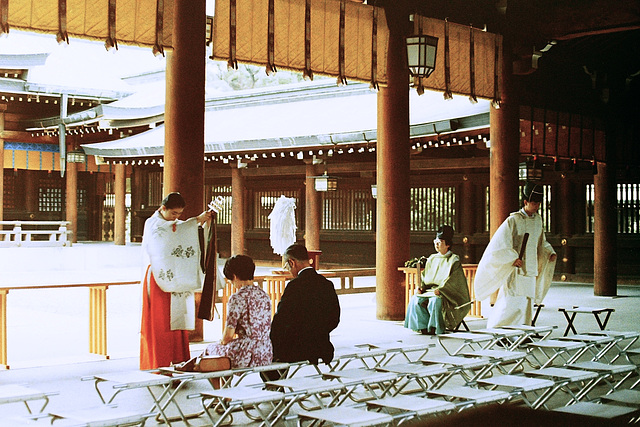 Meiji Shrine, Tokyo (50 05)