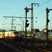 BÖ0033971