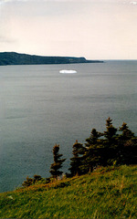 Iceberg voguant paisiblement......