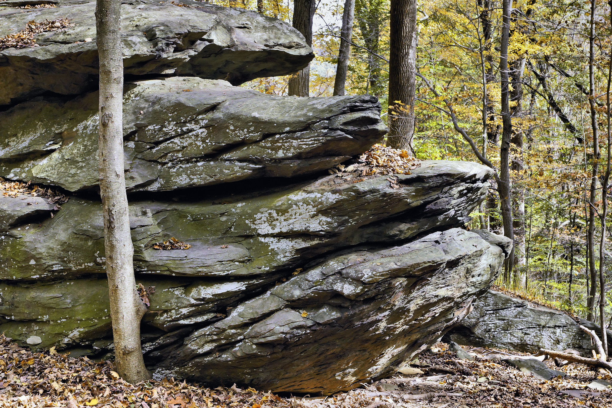 The Layered Look – Cunningham Falls State Park, Thurmont, Maryland