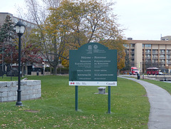 Confederation Park (2) - 9 November 2017