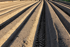 Plough a straight furrow