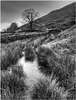 River Rawthey, Cumbria