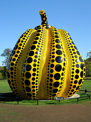 IMG 3657-001-Kusama Pumpkin