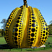 IMG 3657-001-Kusama Pumpkin