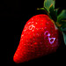 Strawberry Fields Forever