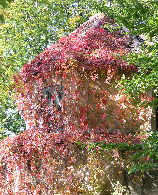 Rapunzel's Turm