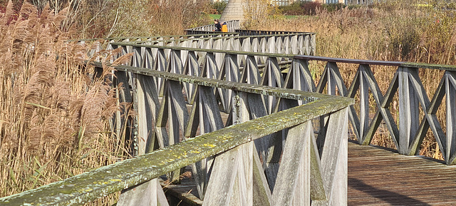 Wetlands Pier