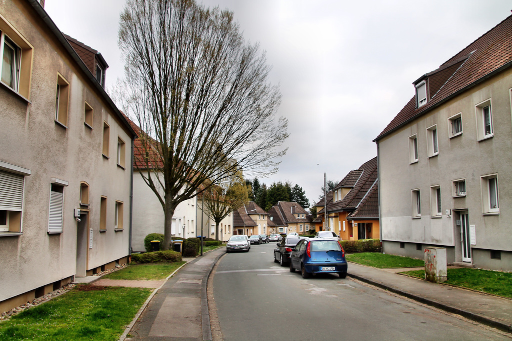 Gitschiner Straße (Kolonie Kirdorf, Dortmund-Eving) / 4.04.2021