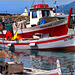 Le barche da pesca nel porto di Camogli