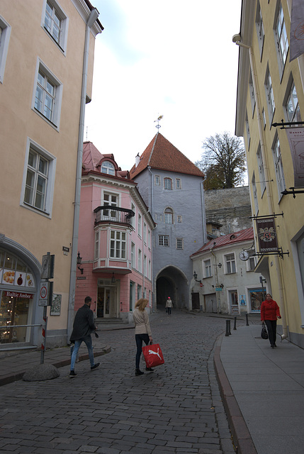 Tor am Langen Domberg