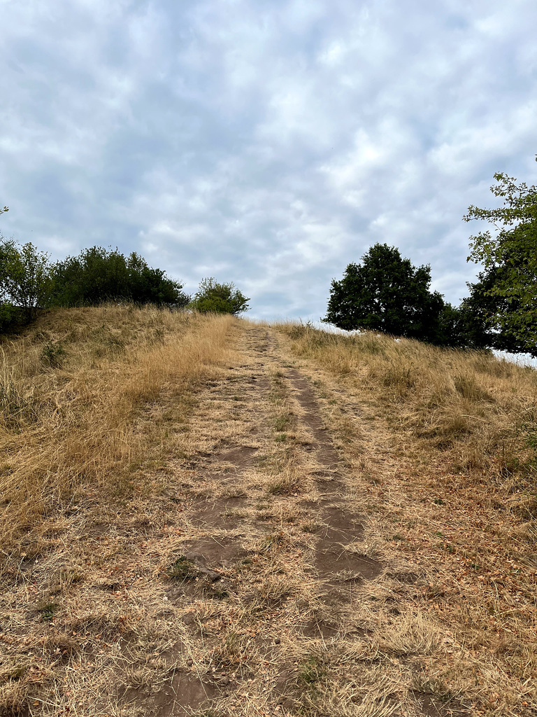 DE - Ettringen - Aufstieg zum Bellberg