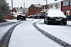 Snow Tracks   /   Dec 2017  /  View Full Screen