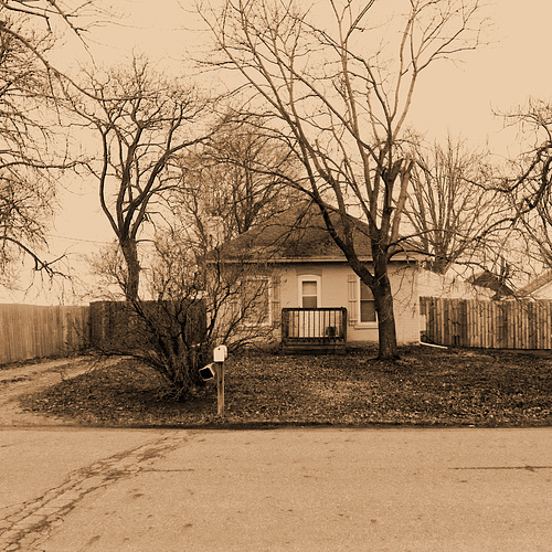 House with Trees and Fences