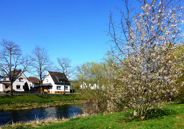 Frühling an der Ahr