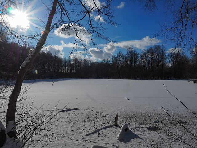 Am Waldsee