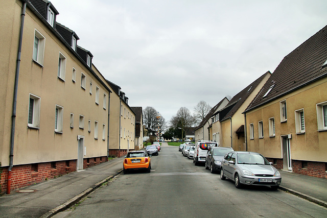 Wrangelstraße (Kolonie Kirdorf, Dortmund-Eving) / 4.04.2021