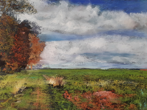 Paysage picard