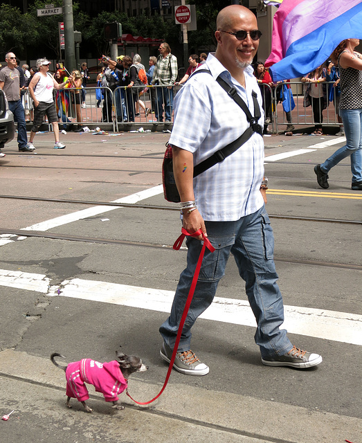 San Francisco Pride Parade 2015 (1550)