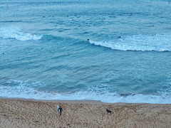 Logans Beach surfies