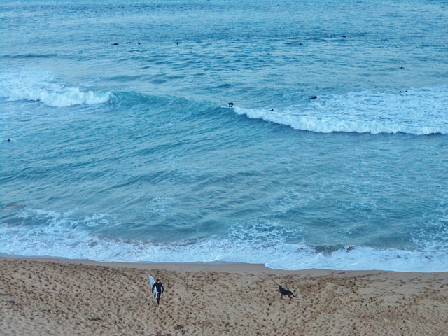 Logans Beach surfies