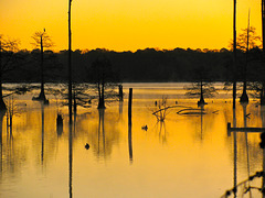 Bluff Lake sunrise