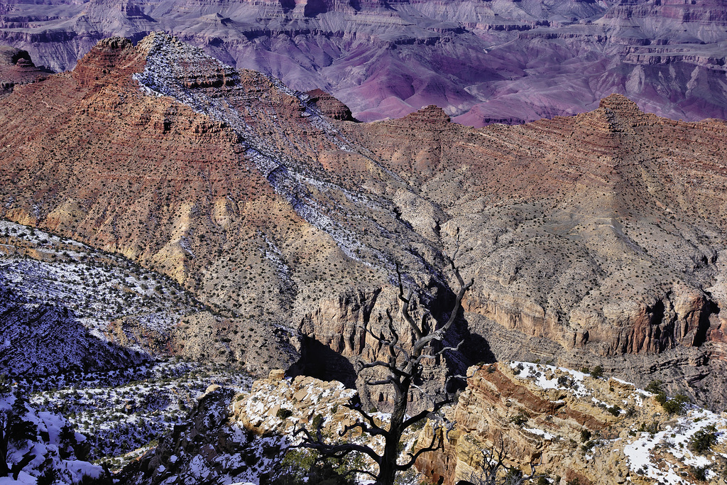 "There's Red in Them Thar Hills" – Desert View, Grand Canyon, Arizona