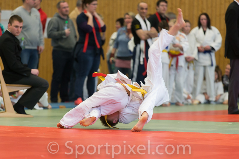 pokal2016judo-0611 25662705921 o