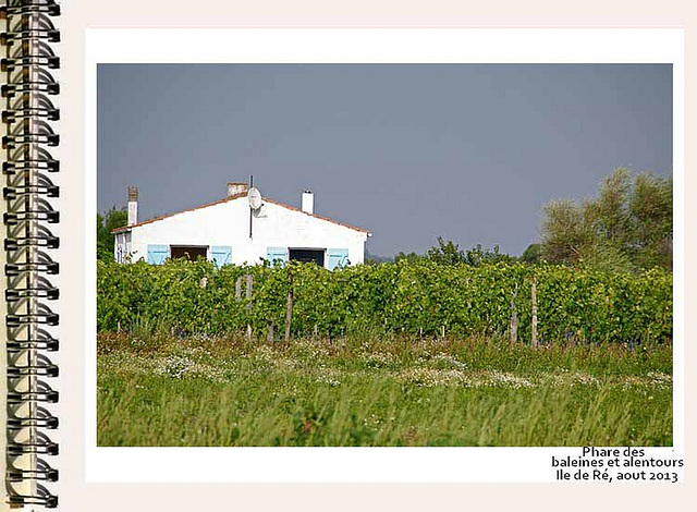 ilere115